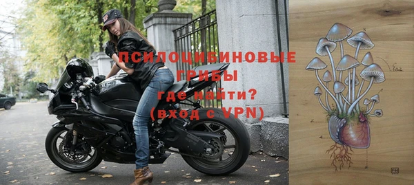 бошки Алексеевка