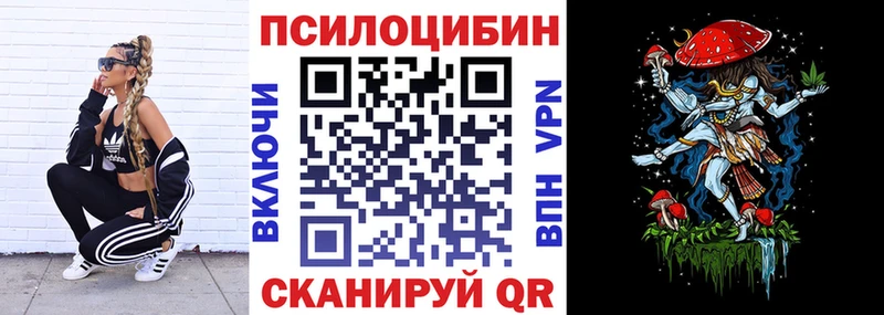 Псилоцибиновые грибы Psilocybine cubensis  Кондопога 