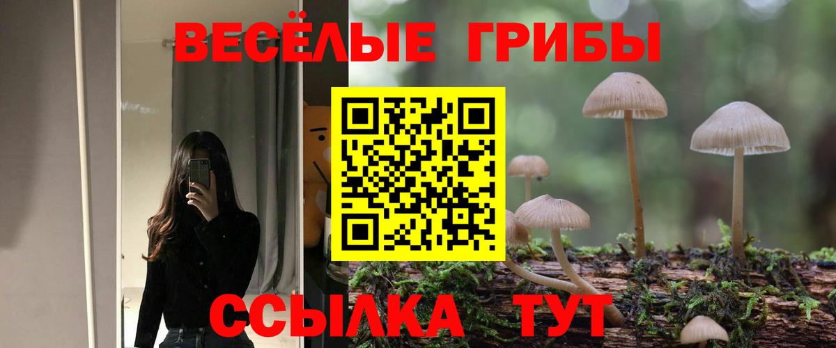 Галлюциногенные грибы мицелий  Вход с VPN  Кондопога 